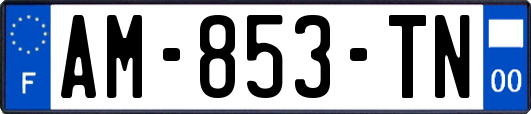 AM-853-TN