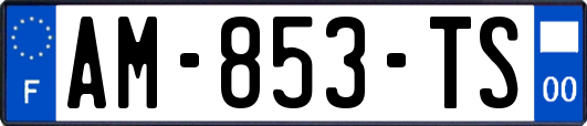 AM-853-TS