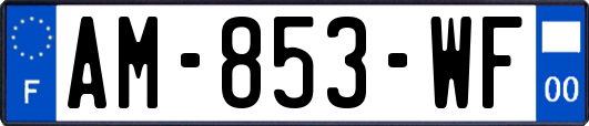 AM-853-WF