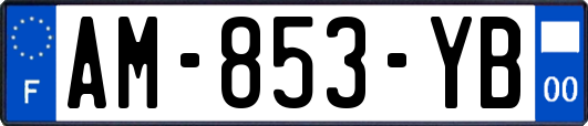 AM-853-YB