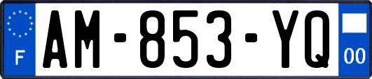 AM-853-YQ