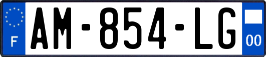 AM-854-LG