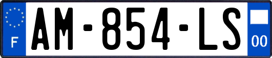 AM-854-LS