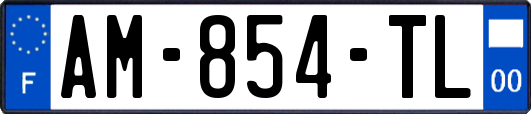 AM-854-TL