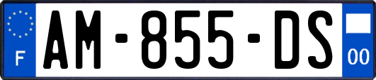 AM-855-DS