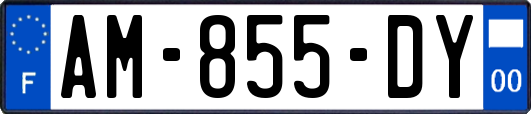 AM-855-DY