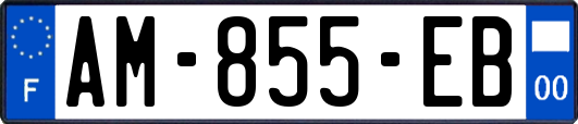 AM-855-EB