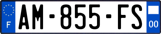 AM-855-FS