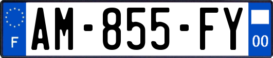 AM-855-FY