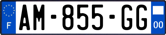 AM-855-GG