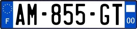 AM-855-GT