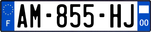 AM-855-HJ