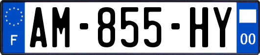 AM-855-HY