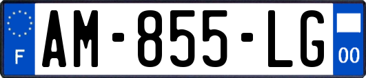 AM-855-LG