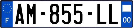 AM-855-LL