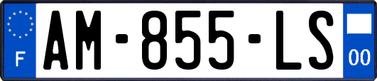 AM-855-LS