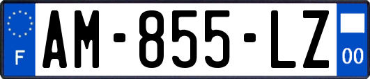 AM-855-LZ