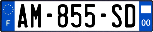AM-855-SD