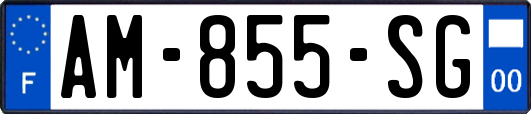 AM-855-SG