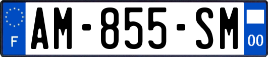 AM-855-SM