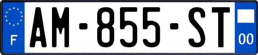 AM-855-ST