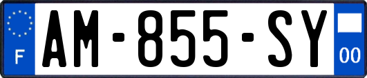 AM-855-SY