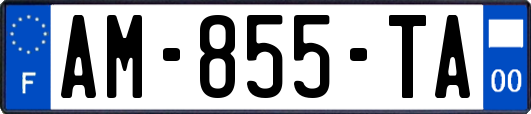 AM-855-TA