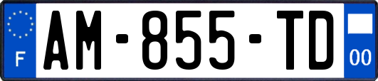 AM-855-TD