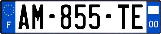 AM-855-TE