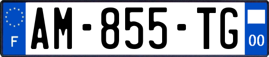 AM-855-TG