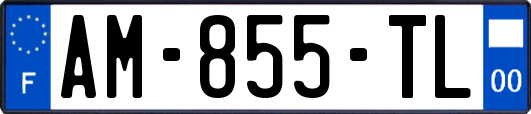 AM-855-TL