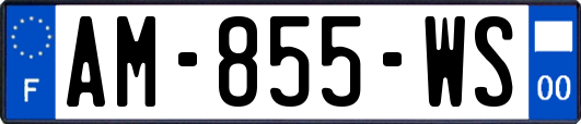 AM-855-WS