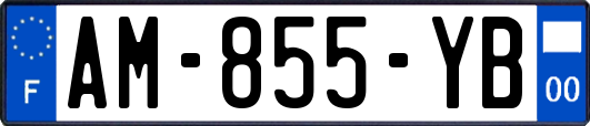 AM-855-YB