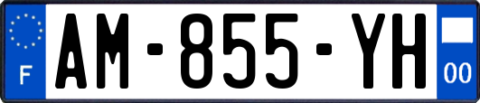 AM-855-YH