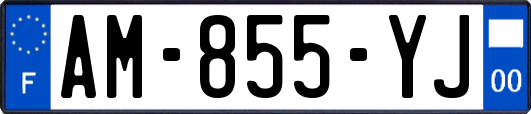 AM-855-YJ