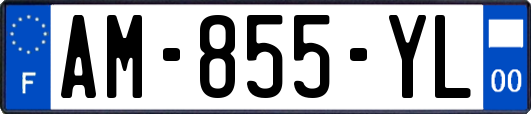 AM-855-YL