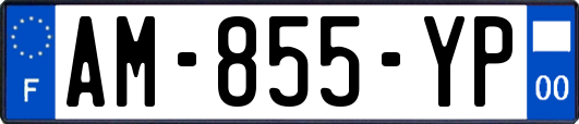 AM-855-YP