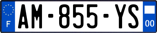 AM-855-YS
