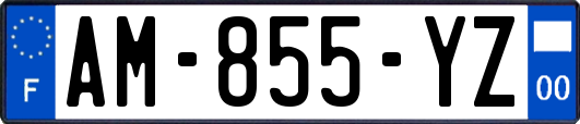 AM-855-YZ