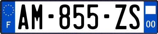 AM-855-ZS