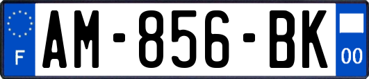 AM-856-BK