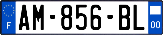 AM-856-BL