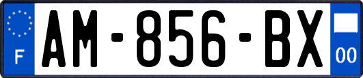 AM-856-BX