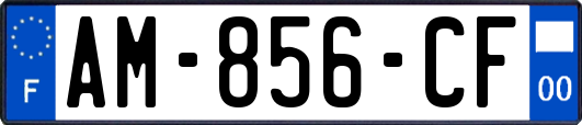 AM-856-CF