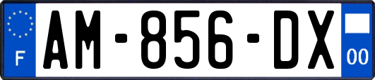 AM-856-DX