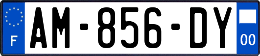 AM-856-DY
