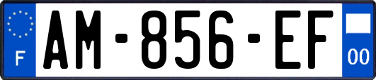 AM-856-EF