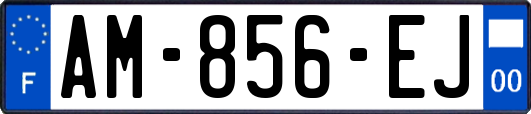 AM-856-EJ