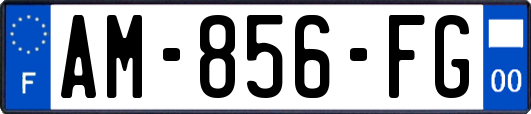 AM-856-FG