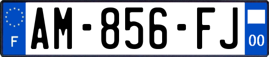 AM-856-FJ